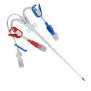 Hemodylesis Catheter